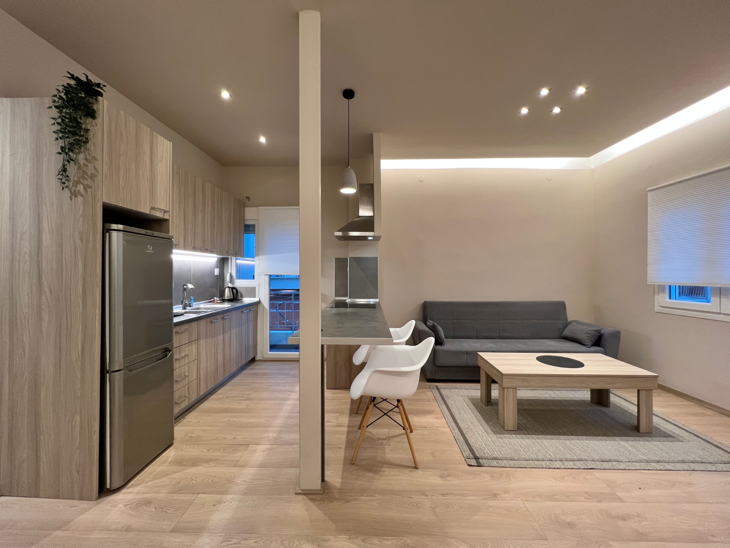 Living Area & Kitchen