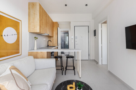halu! Modern minimalist apartment interior with wooden kitchen cabinets cozy white sofa stylish decor and open layout for a clean and inviting living space.