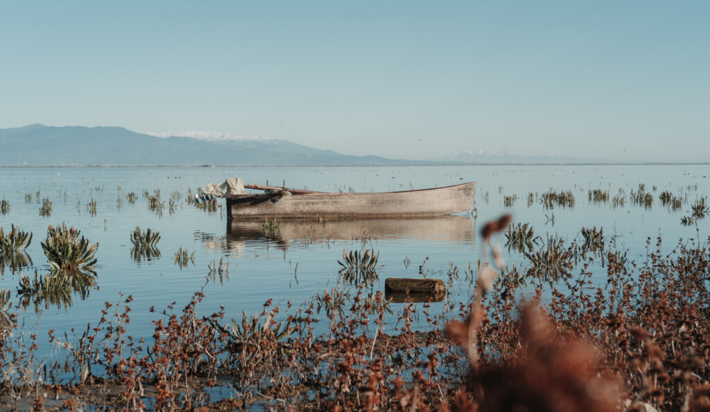 Boat in Limni Kerkini