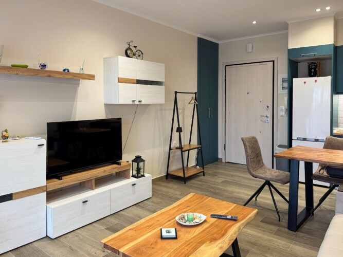 Modern one-bedroom apartment with stylish living room, fully equipped kitchen, terrace, and contemporary design for a comfortable stay in Moudania.