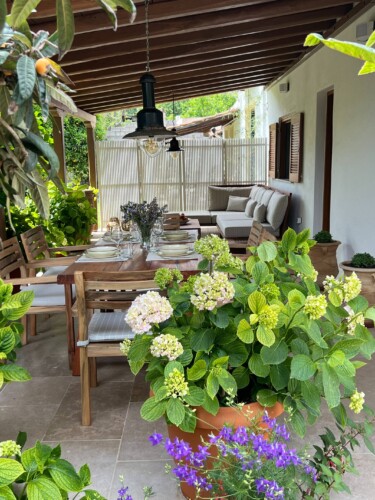 Cozy holiday home with modern kitchen, comfortable living room, bright bedroom, and private garden, ideal for a relaxing stay in Skiathos