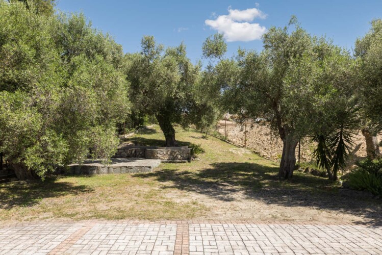 Frida & Rosa villas in Kripogi offering modern two-level holiday homes with private gardens and comfortable living spaces for a relaxing getaway in Halkidiki.