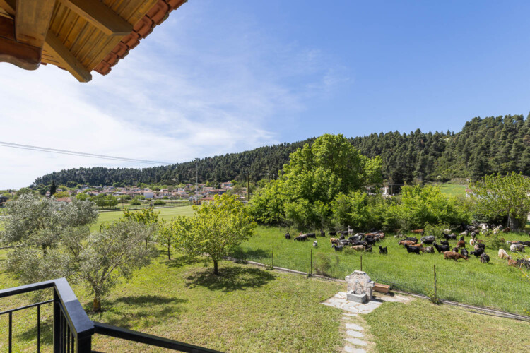 Villa Anthea in Fourka, a spacious holiday villa with private garden, outdoor dining area, and family-friendly amenities for a relaxing stay in Halkidiki.