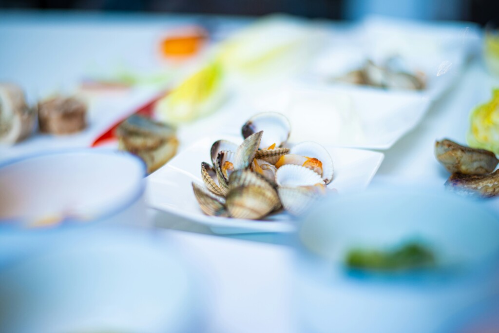 Halkidiki Food Guide: Where Mediterranean Flavors Meet Paradise