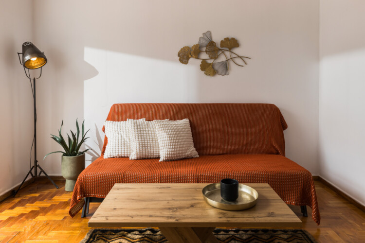 Halu! Cozy living room with a brown sofa covered in a red throw blanket, two white pillows, a wooden coffee table, a stylish floor lamp, and decorative wall art.