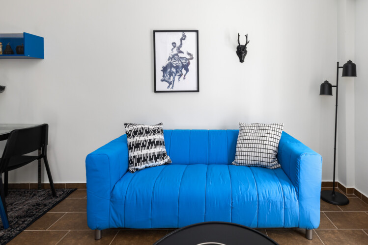 Halu! Modern living room with a bright blue sofa accented by monochrome cushions. Minimalistic decor includes artwork a mounted deer head and sleek furniture for a cozy vibe.