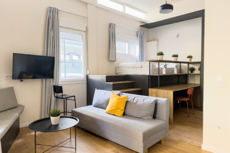 halu! Bright modern apartment interior with a loft bed gray sofa and yellow pillow natural light contemporary decor in a compact yet stylish living space