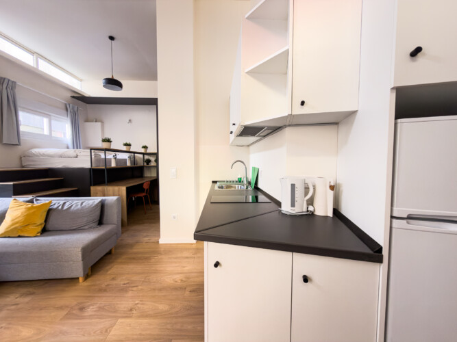 halu! Modern studio apartment with open plan kitchen and cozy living area featuring contemporary white and gray furnishings wooden flooring and a comfortable sofa