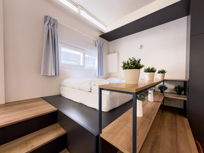 Halu Stylish modern bedroom with elevated bed design wooden steps and shelves featuring potted plants natural light from window enhancing cozy minimalist decor