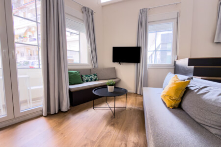 halu! Cozy and modern living room with natural light featuring a comfortable sofa with colorful cushions a flat-screen TV on the wall and a coffee table with a plant.