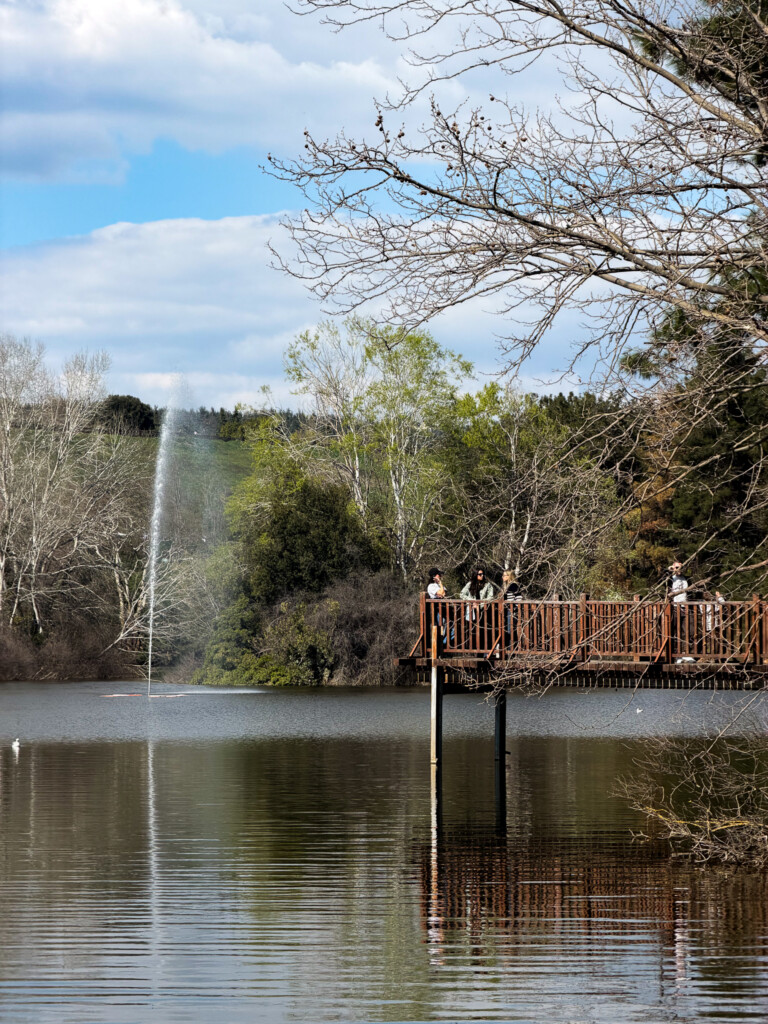 Halu! Experience the serene beauty of Thermi Dam near Thessaloniki. A perfect green escape surrounded by lush trees and tranquil water providing a peaceful retreat.