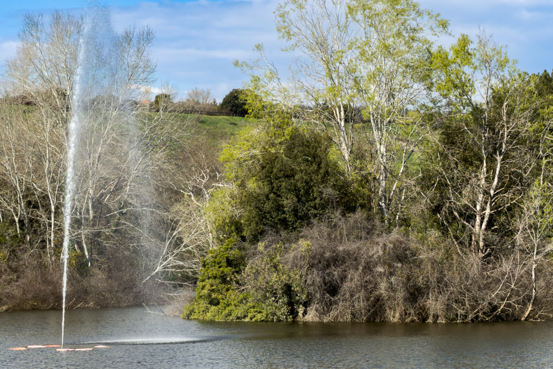halu! Discover the serene Thermi Dam near Thessaloniki. Enjoy a green escape with lush trees and a calming water fountain creating a peaceful natural retreat.