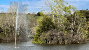 halu! Discover the serene Thermi Dam near Thessaloniki. Enjoy a green escape with lush trees and a calming water fountain creating a peaceful natural retreat.