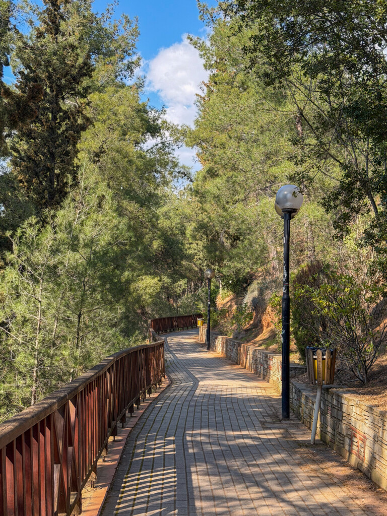 Halu! Discover a serene walking path at Thermi Dam offering a green escape in Thessaloniki surrounded by lush trees providing a peaceful retreat in nature's embrace.