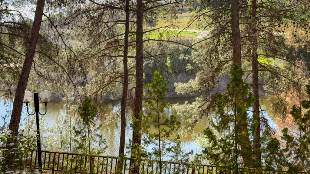 Halu! Discover the serene Thermi Dam in Thessaloniki a perfect green escape. Bask in nature's tranquility with lush trees and a peaceful water view amidst Greece's beauty.