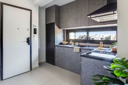 Halu! Modern kitchen interior with sleek gray cabinets and a black countertop features a stainless steel stove a window for natural light and a green plant for decor.